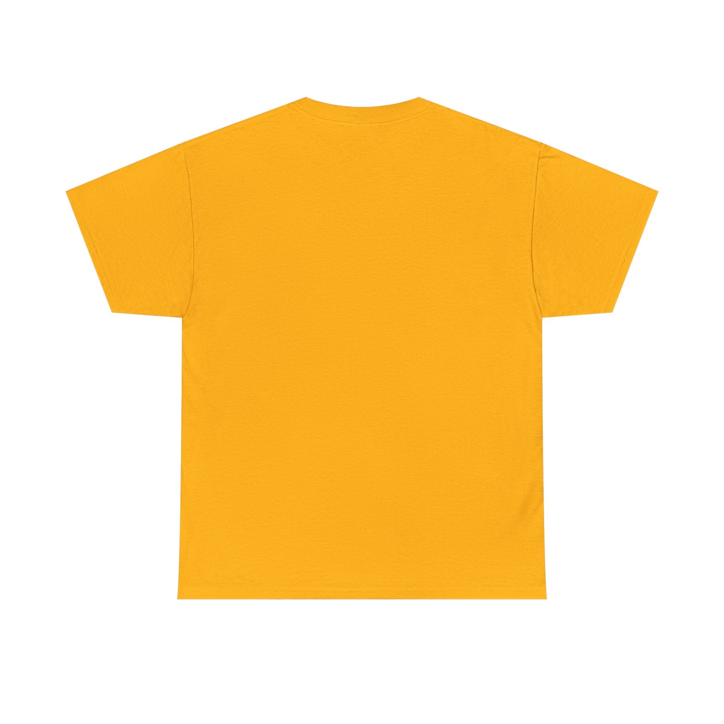 Unisex Camera Heavy Cotton Tee