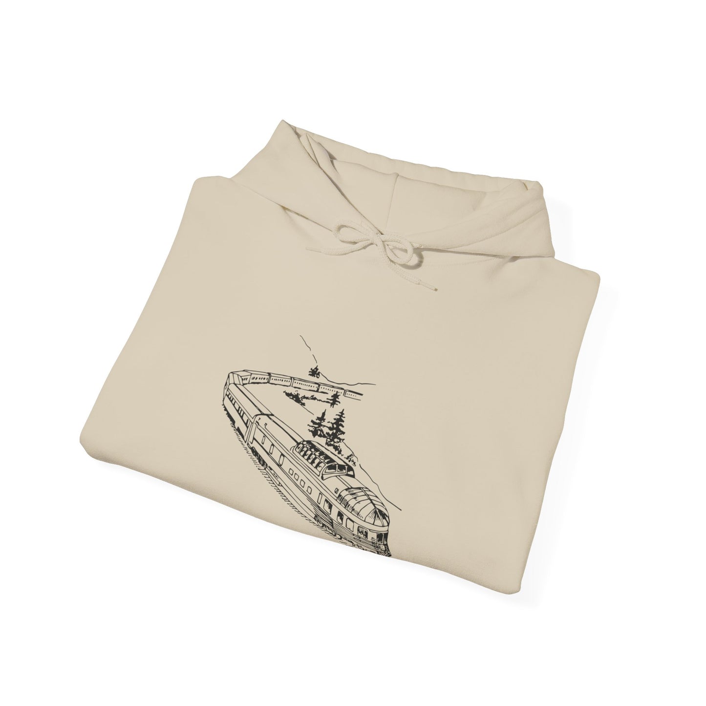 Unisex Train Heavy Blend™ Hooded Sweatshirt